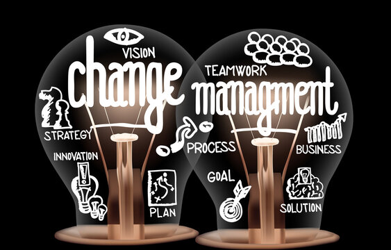Image of two lightbulbs with text labels relating to change management